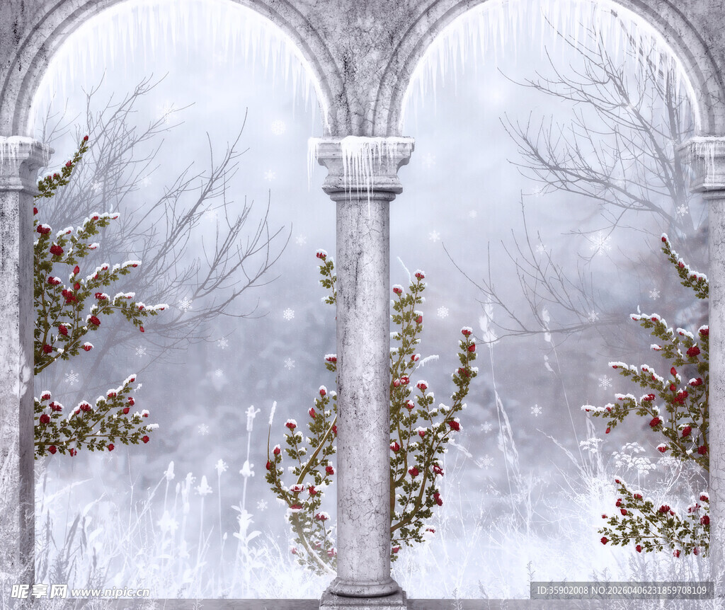 冬日拱门雪景植物景象