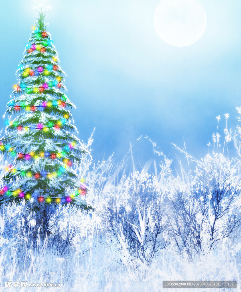 冬日雪景中的彩色圣诞树