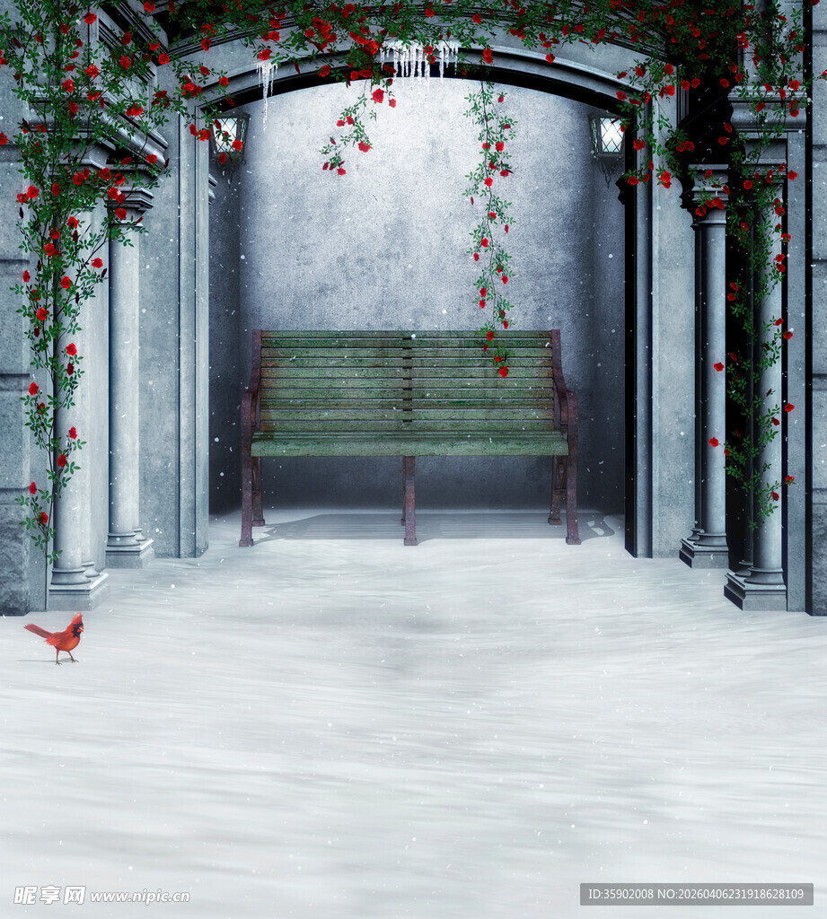 冬日庭院的静谧圣诞景致