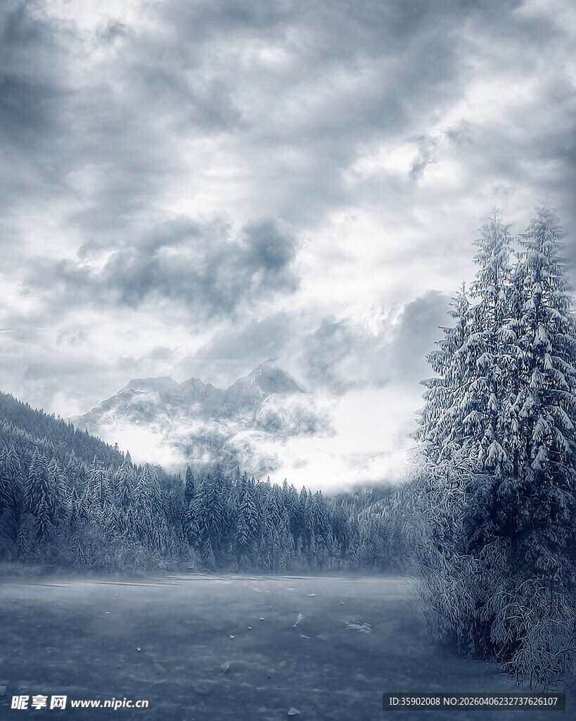 冬日雪景中的静谧山林