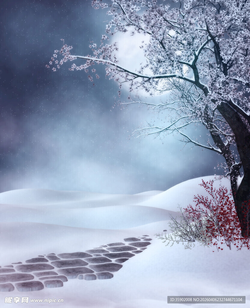 雪后静谧小路树影婆娑