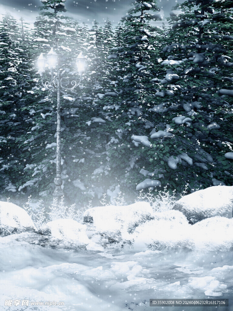 冬日雪景中的静谧森林