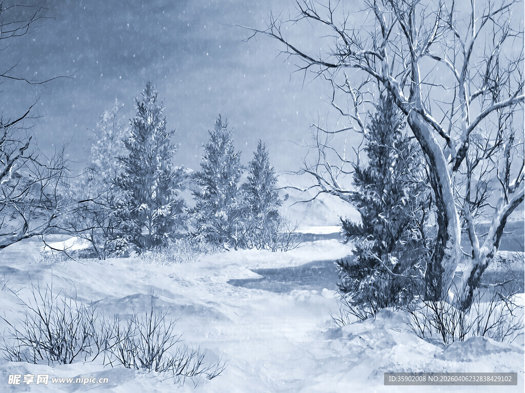 冬日雪景中的静谧林间小道