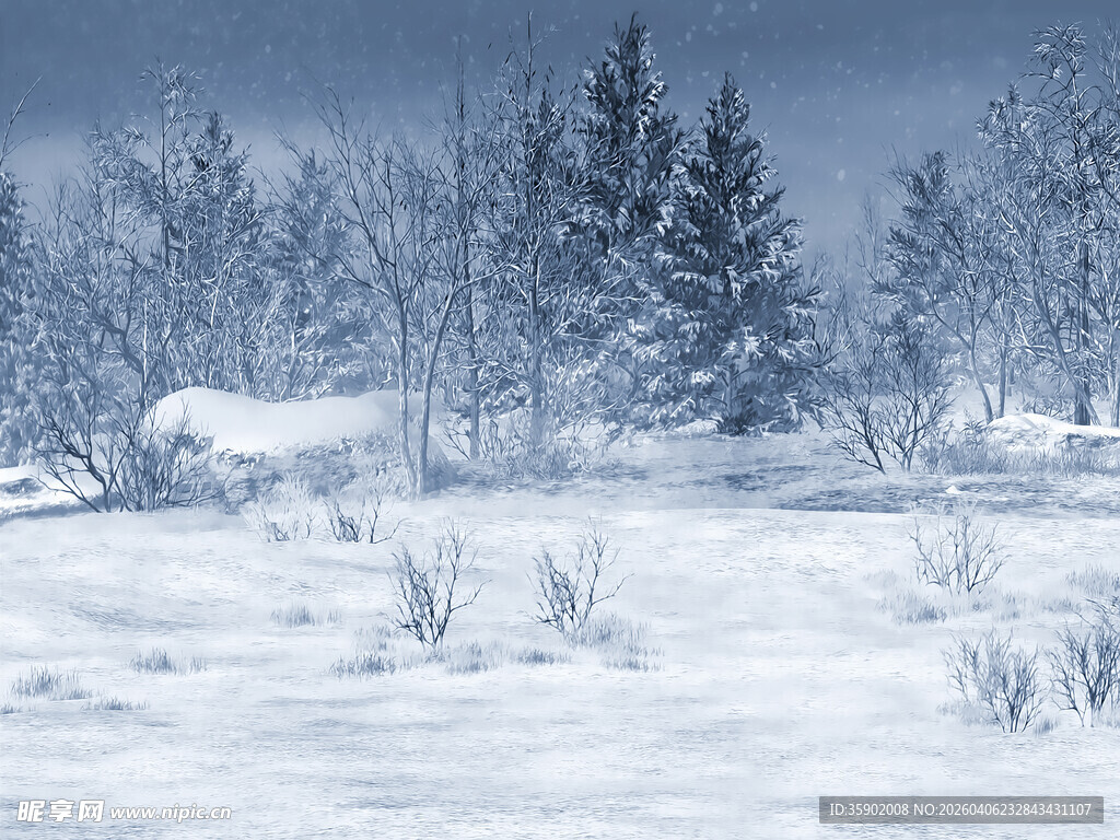 冬日雪景中的静谧树林