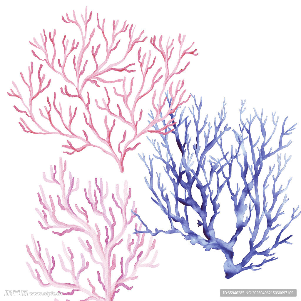 N彩色珊瑚手绘插画