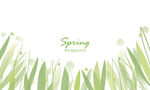清新春日绿叶插画