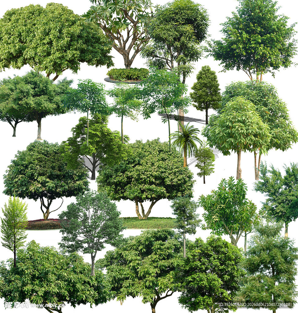 多样绿树素材集合