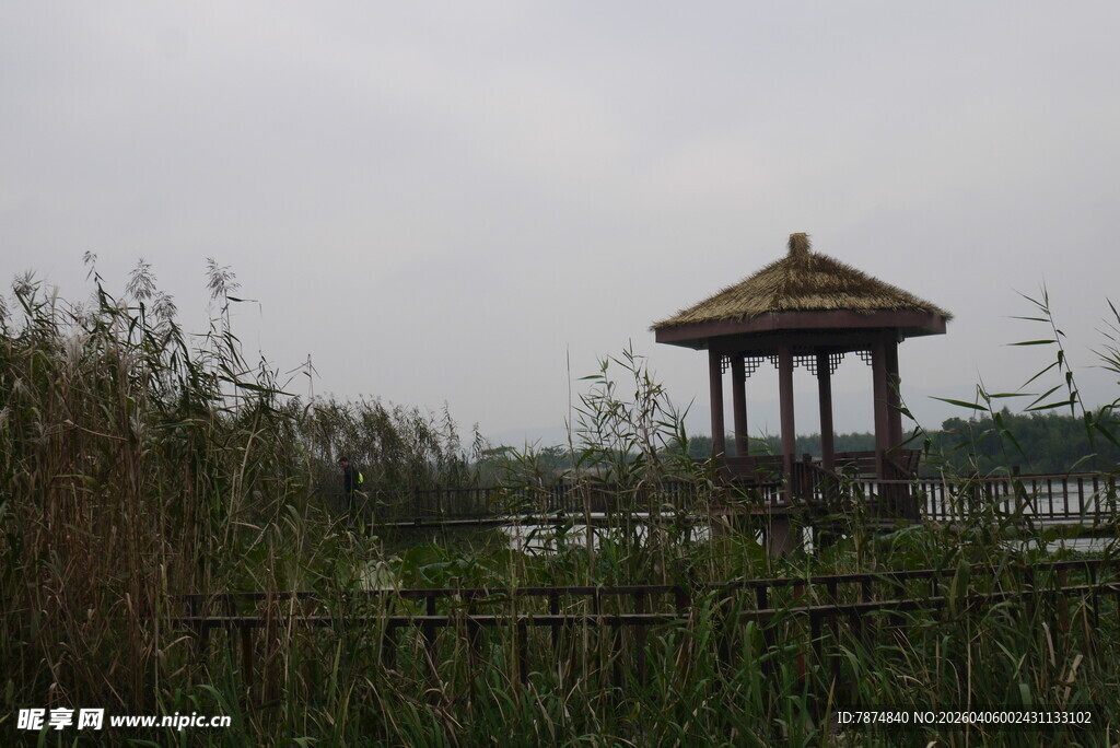 湖畔凉亭 隐于草木之间