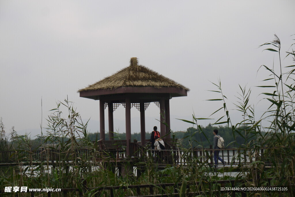 湖畔凉亭 静谧悠然景致