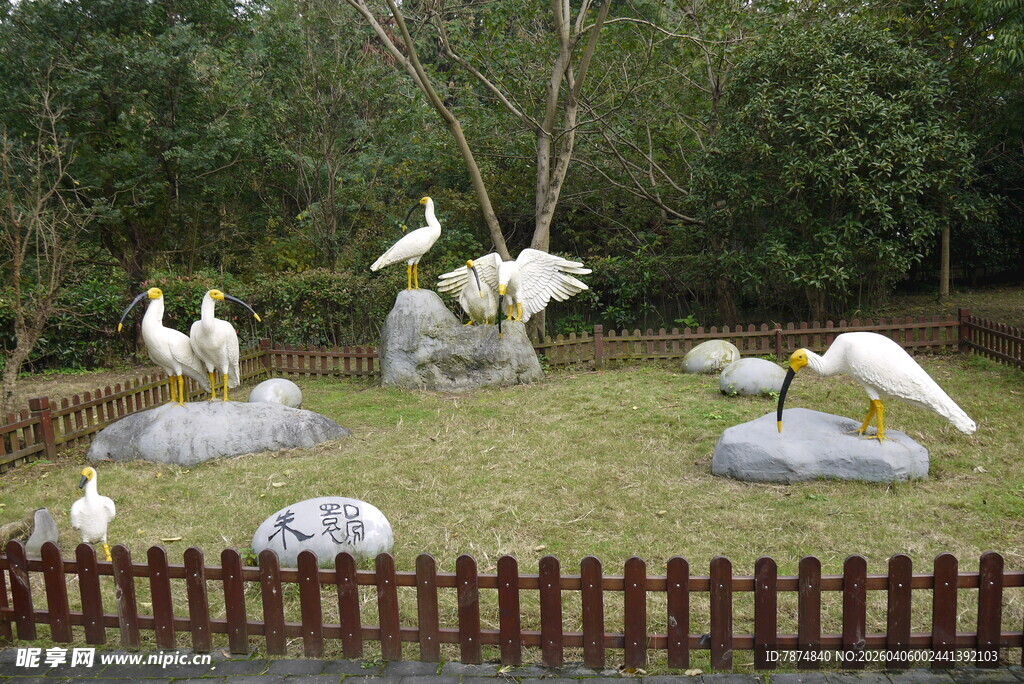 草地上的白鹭雕塑景观