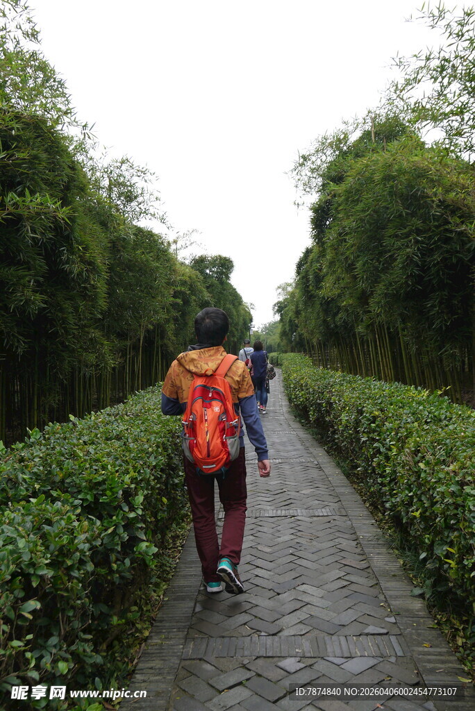 徒步者穿行在绿植环绕小道