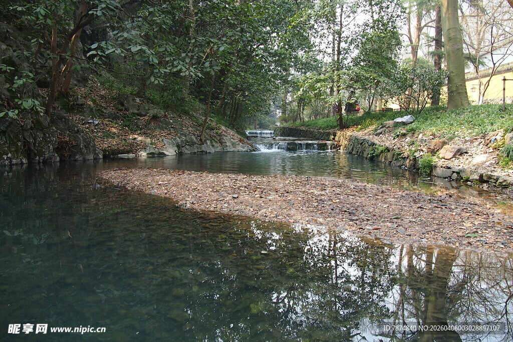 宁静溪边的自然景致
