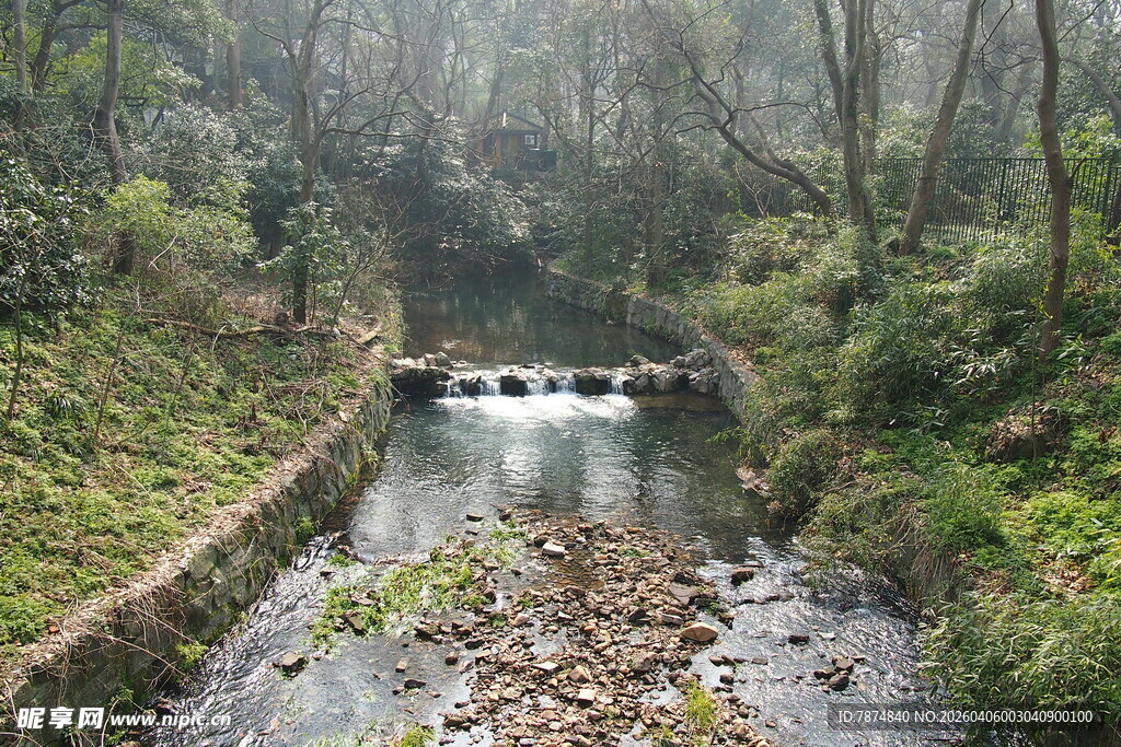山林间潺潺溪流美景