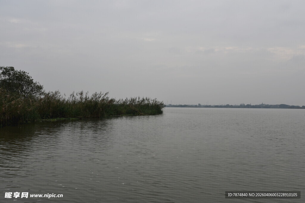 宁静湖边的自然景致