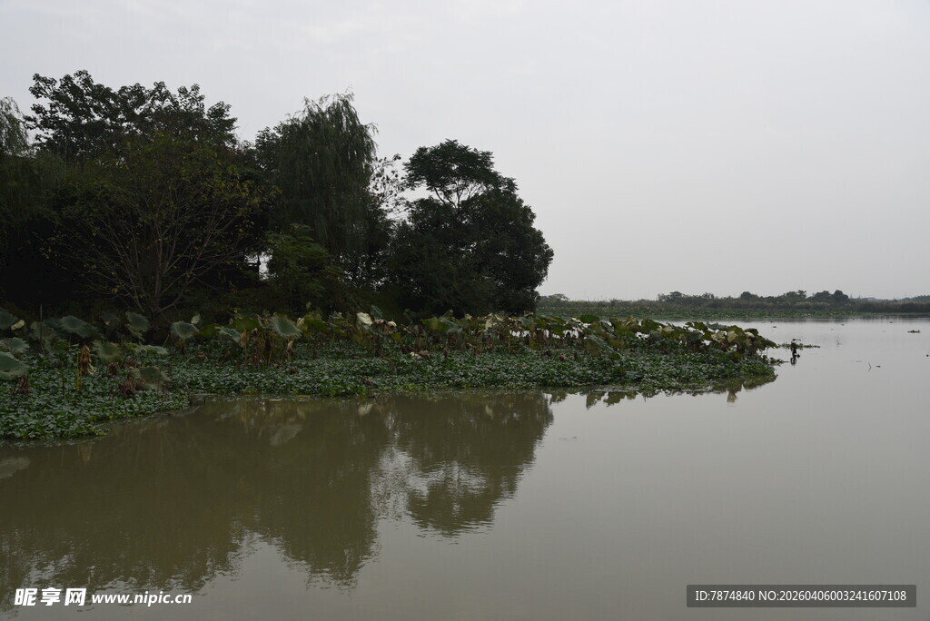 湖畔绿植环绕的宁静水域