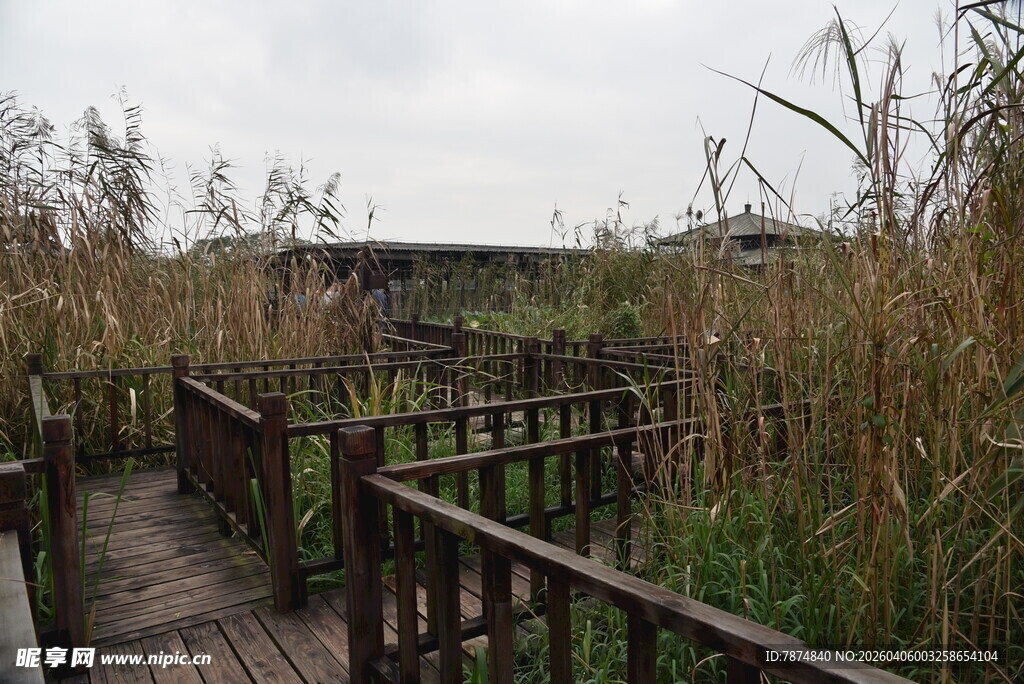 湿地木栈道景观