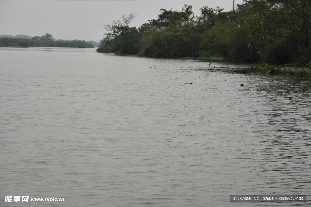 宁静河岸的开阔水域景色