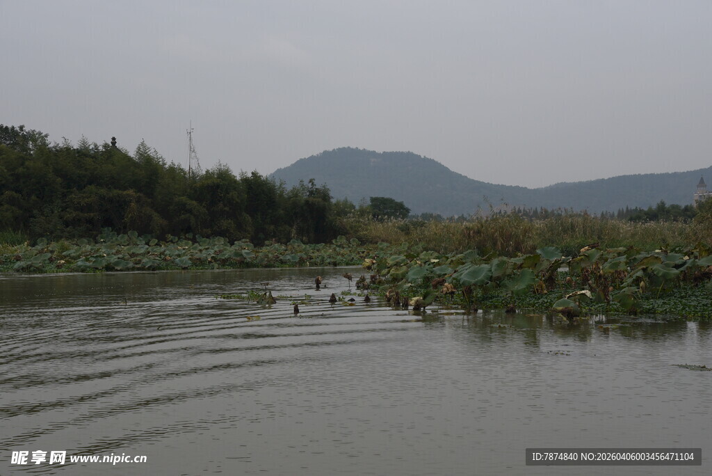宁静河畔的自然景致