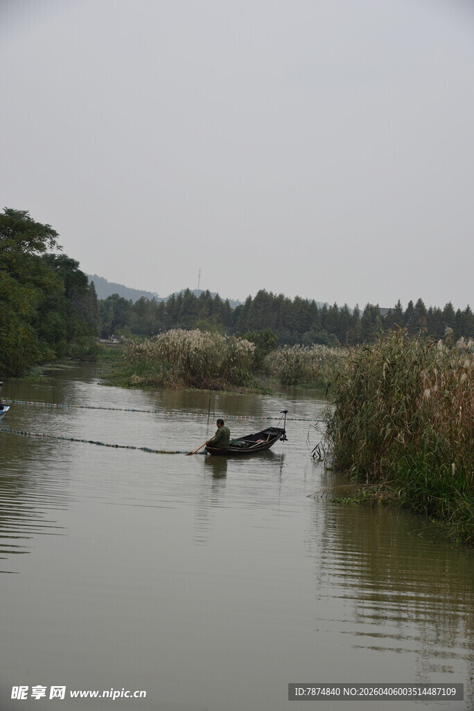 水乡小船悠然行