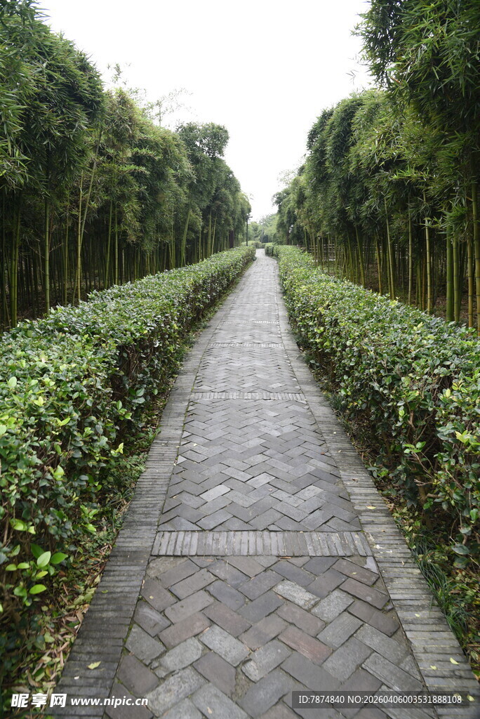 林间砖石小径 绿植相伴