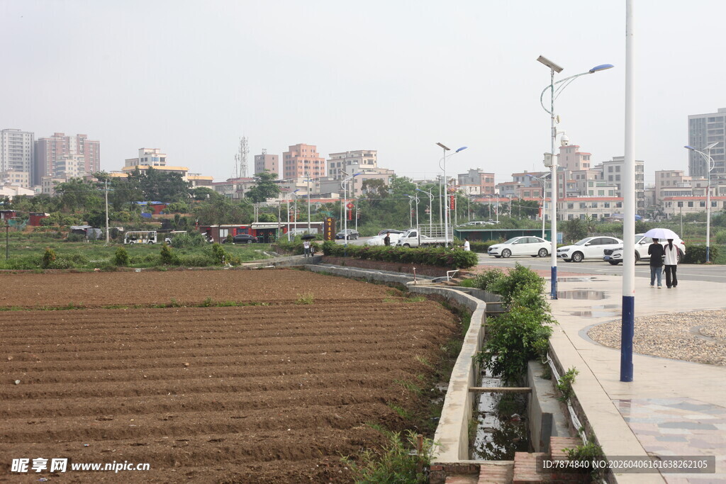 湛江城市中街边的农田景观