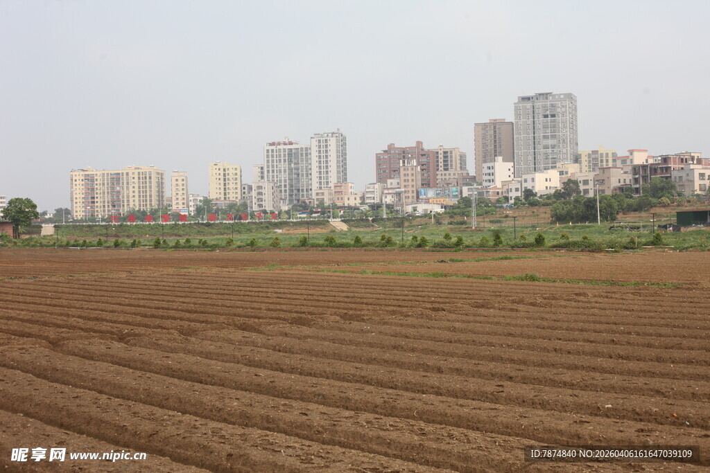 湛江城郊田野与远处高楼景观