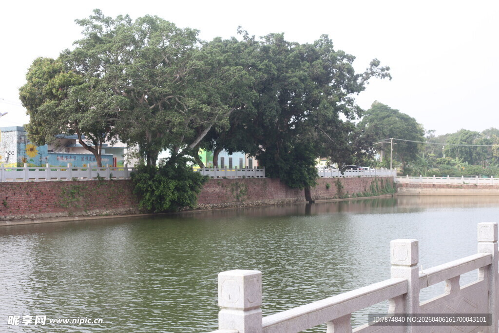 湛江湖畔绿树环绕的宁静景致