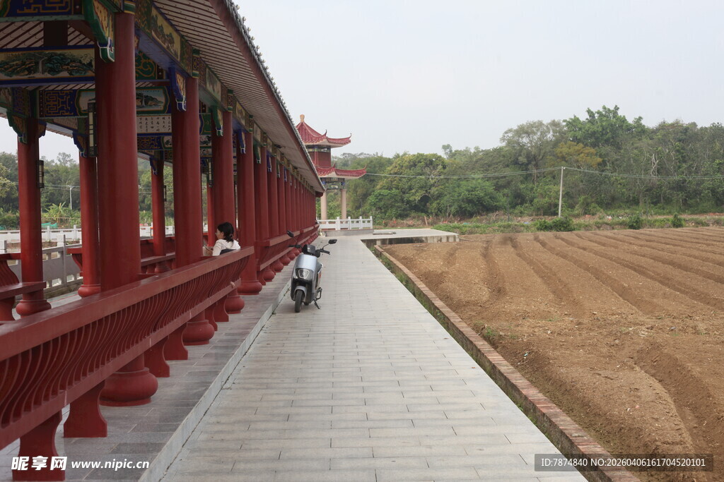 湛江红廊旁的乡村骑行小道