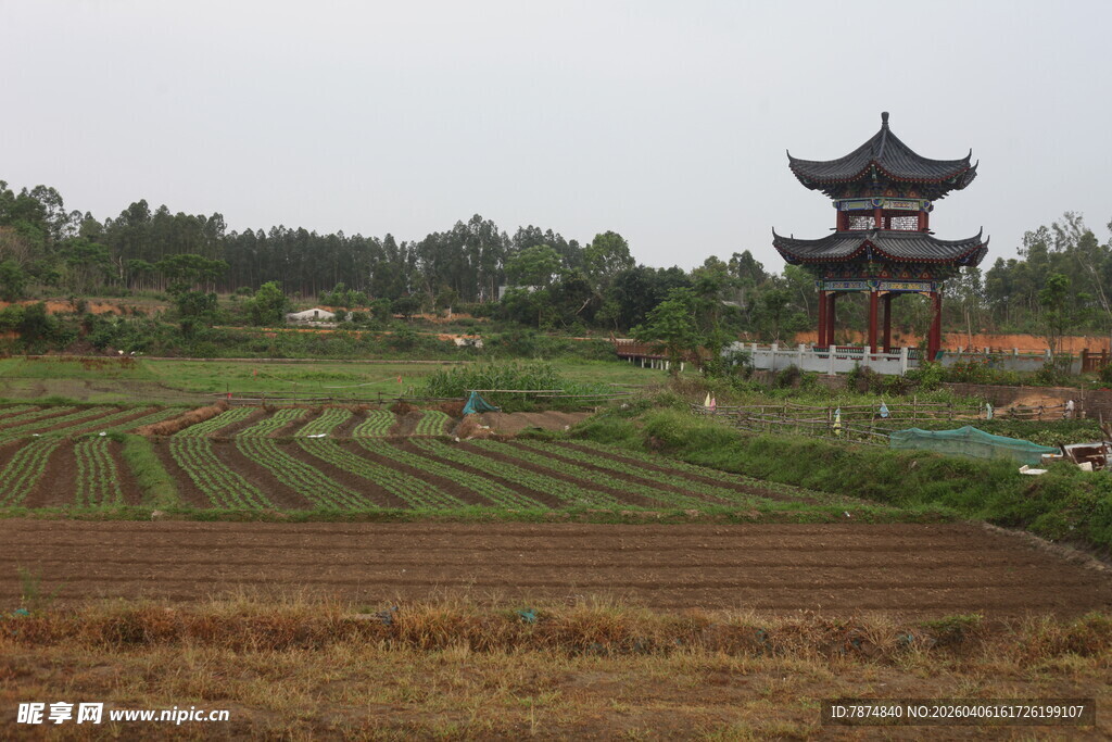 湛江田园古塔 静谧乡村风光