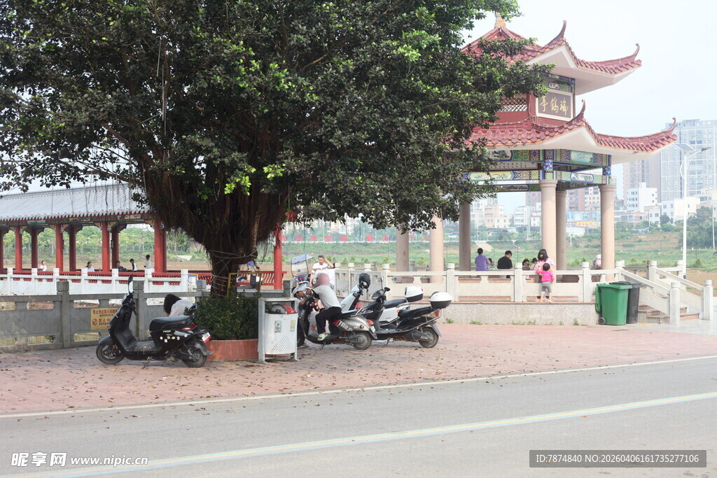 湛江古亭旁停放的摩托车与绿树