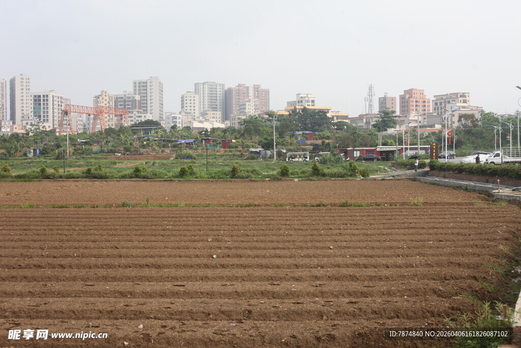 湛江城郊农田与远处建筑群