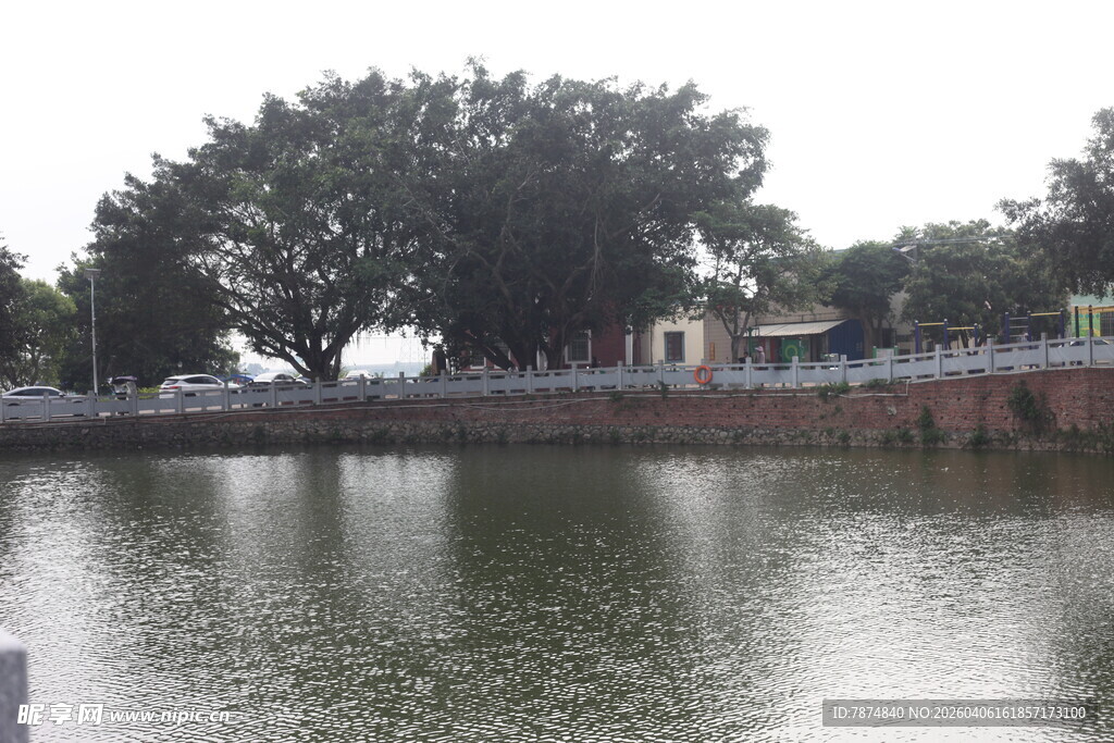 湛江宁静湖畔风景