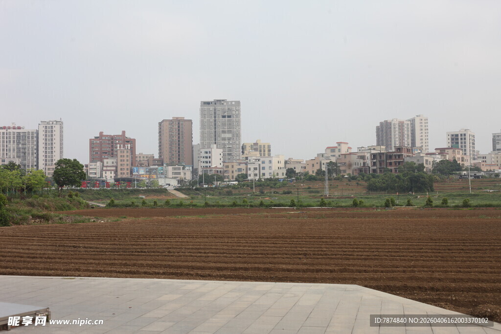 湛江城市边的农田景观