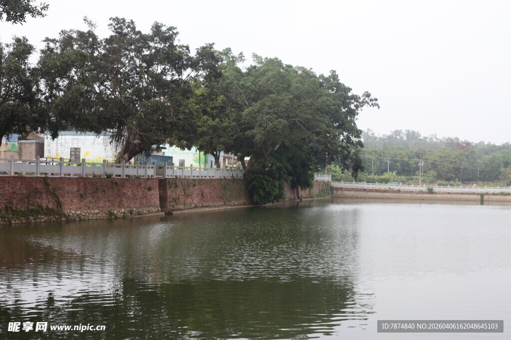 湛江宁静湖边绿树环绕景象