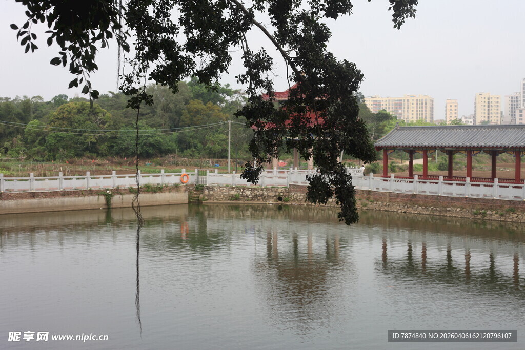 湛江湖畔亭廊 静谧水景风光