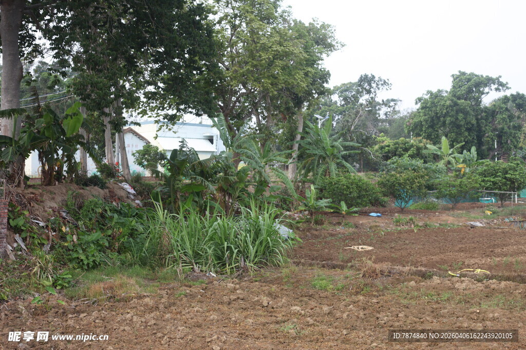 湛江乡村田园景象