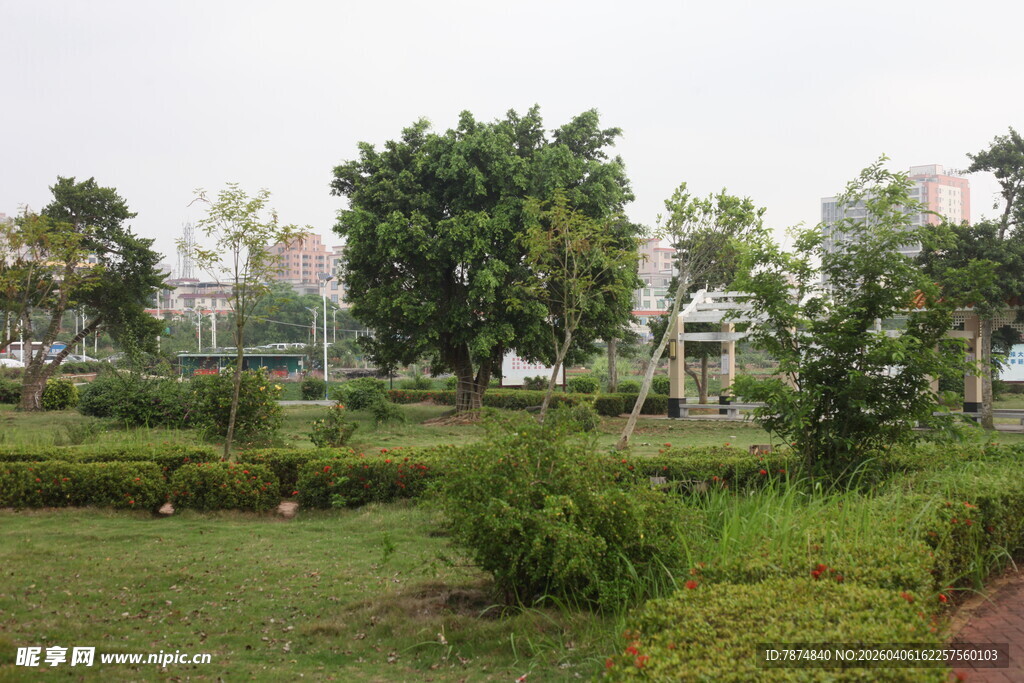 湛江城市中的静谧绿植景观