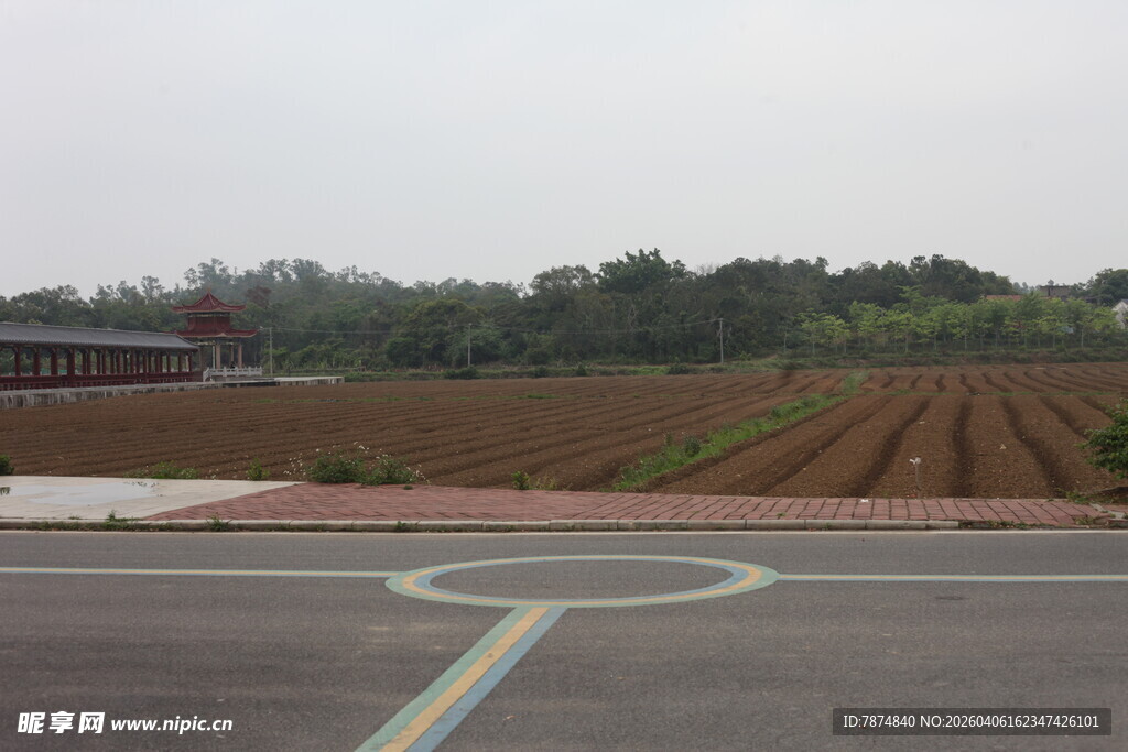 湛江农田旁的道路场景