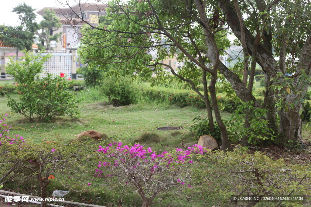 湛江春日花园美景