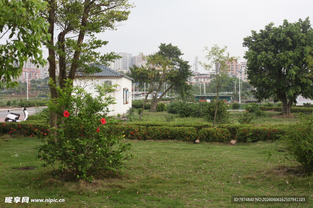 湛江城市中的静谧绿化景观