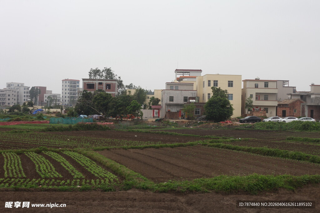 湛江城郊农田与建筑景观