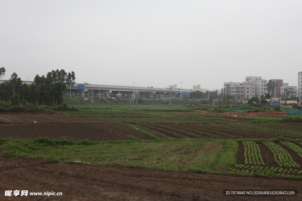 湛江田野风光 农田与远处建筑