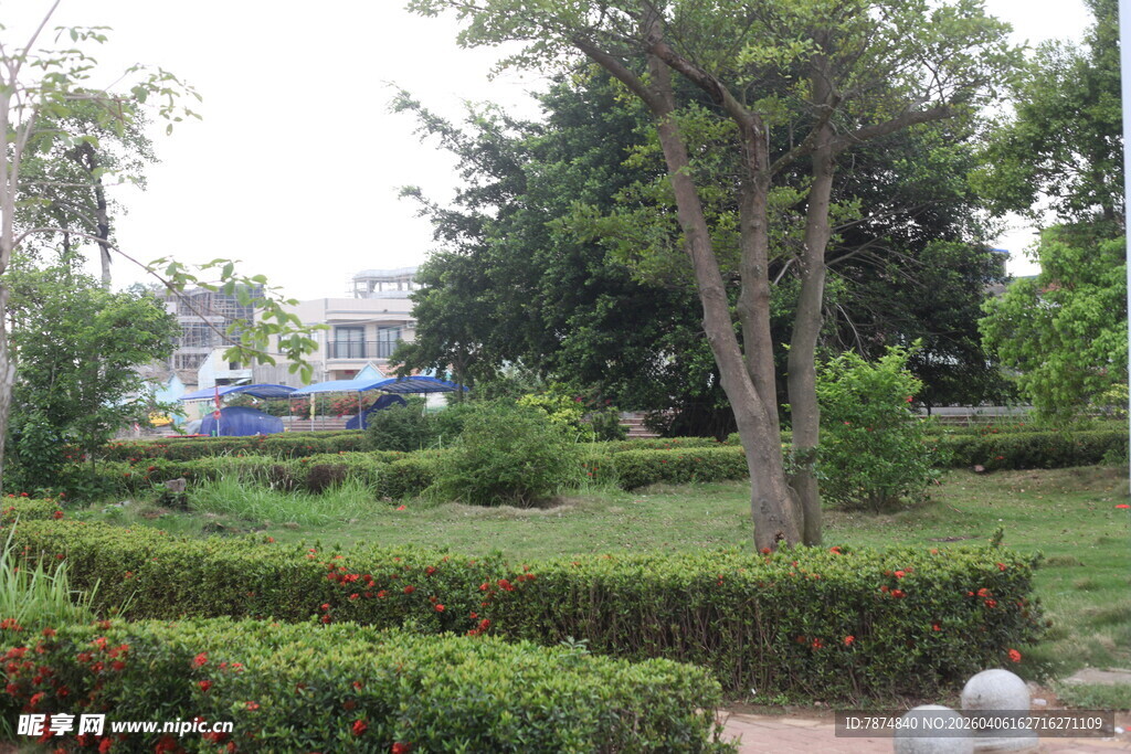 湛江城市中的静谧花园景观