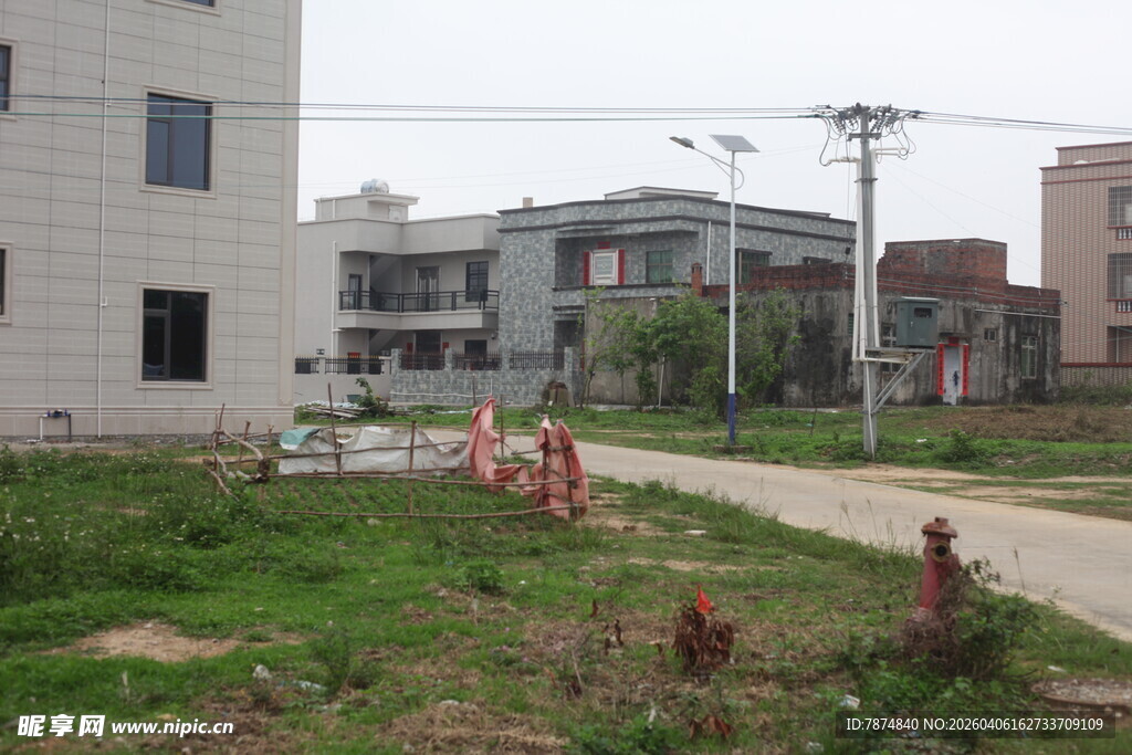 湛江乡村路旁建筑与绿化景观