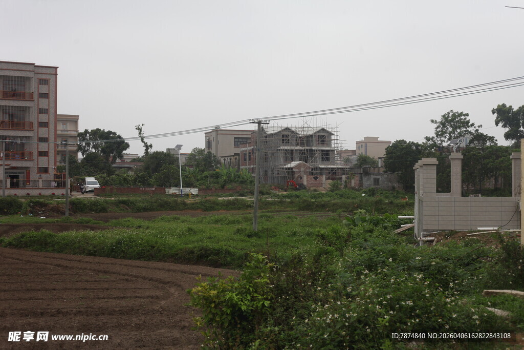 湛江城郊田野景象