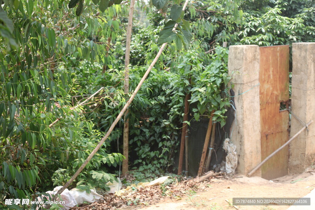 野外绿植环绕的陈旧木栅栏