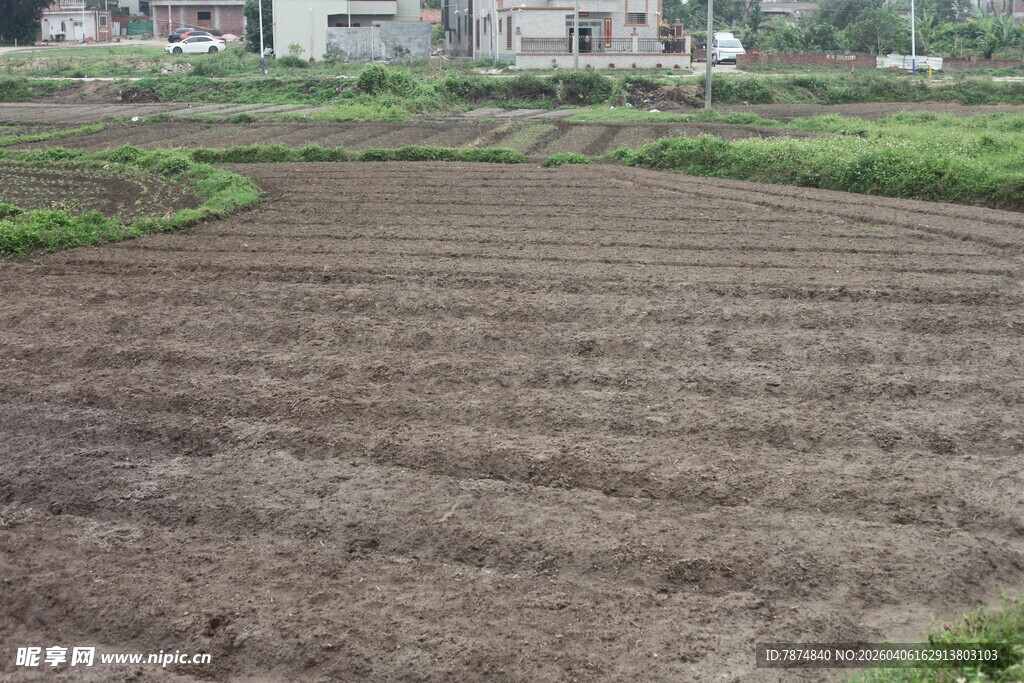 农田景象 土地平整待耕种