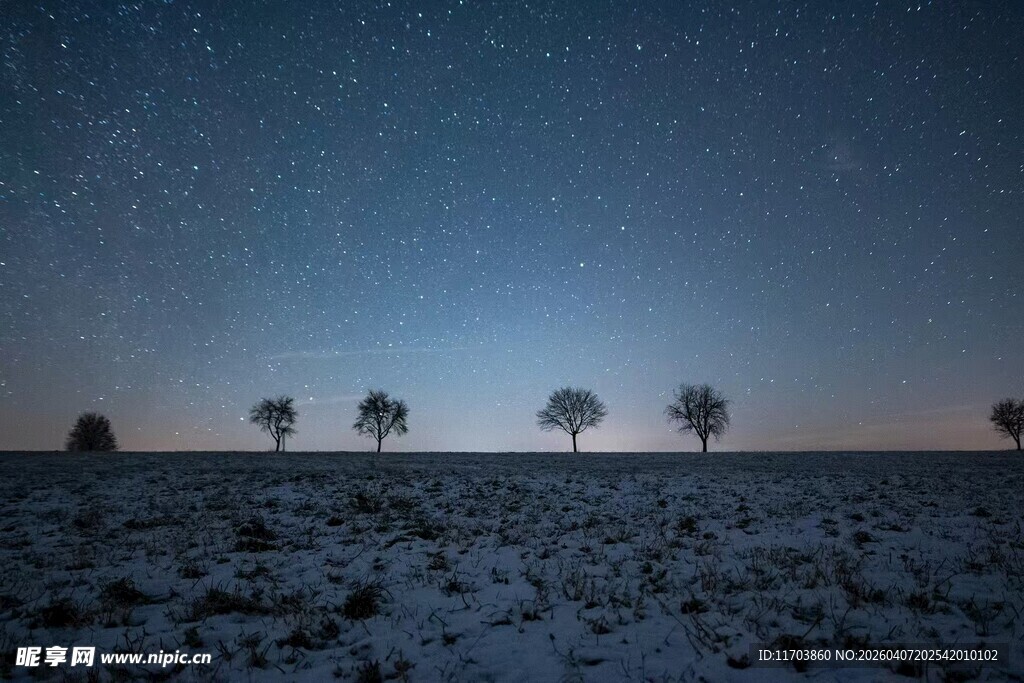 雪夜旷野中的孤独树木电脑壁纸