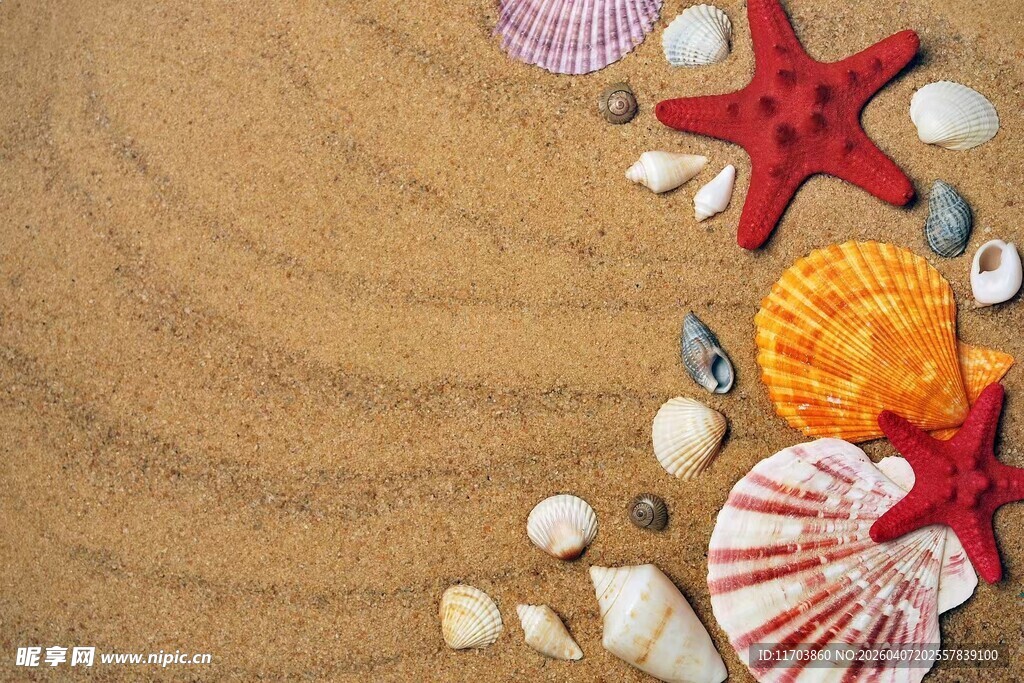 沙滩上的多彩海星与贝壳电脑壁纸