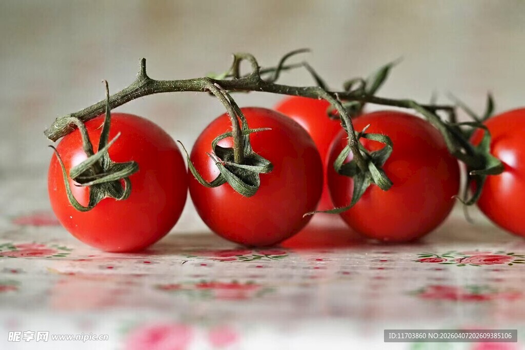 新鲜红番茄摆放在花布上电脑壁纸